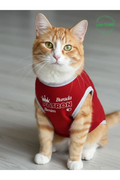 Gobo Burada Patron Benim Yazılı Kırmızı Kedi ve Köpek Kıyafeti Elbisesi XSMALL/XS/Beden 0 ürün görseli 1