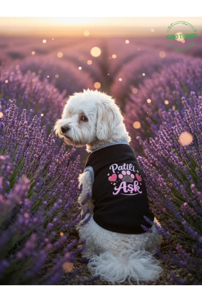 Gobo Siyah Renkli Patili Aşk Baskılı Kedi ve Köpek Kıyafeti Tişörtü Elbisesi Medium/M/Beden 2 ürün görseli 1
