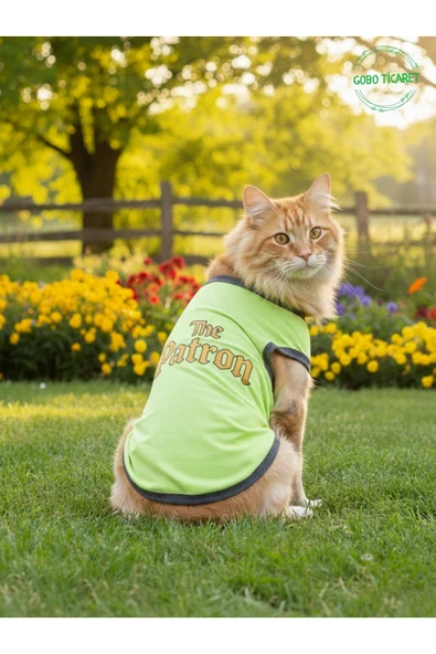 Gobo Yeşil The Patron Yazılı Kedi ve Köpek Kıyafeti Tişörtü Elbisesi SMALL/S/Beden 1 ürün görseli 1