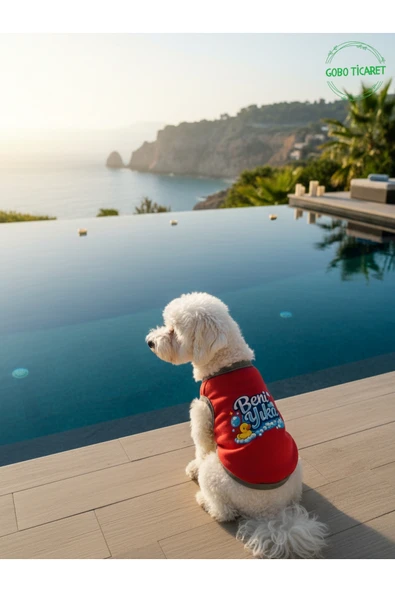 Gobo Kırmızı Beni Yıka Baskılı Kedi ve Köpek Kıyafeti–Evcil Hayvan Tişörtü Elbisesi Large/L/Beden 3 ürün görseli 1