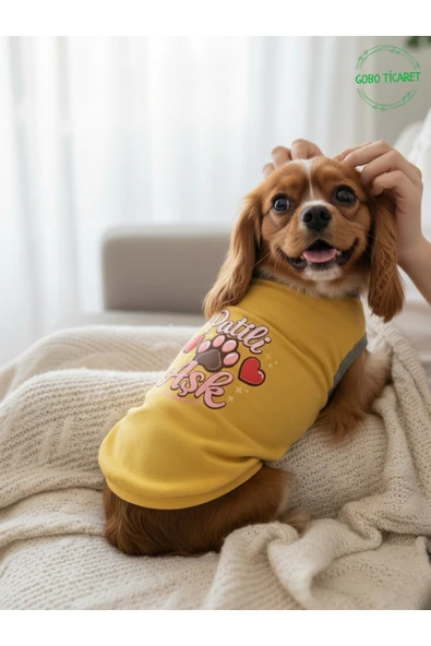 Gobo Sarı Renkli Patili Aşk Baskılı Kedi ve Köpek Kıyafeti Tişörtü Elbisesi Medium/M/Beden 2 ürün görseli 1