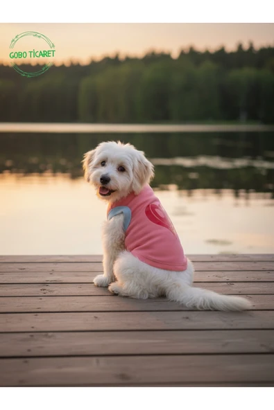 Gobo Şeker Pembe Renkli Kedi ve Köpek Kıyafeti Elbisesi Love Baskılı XSMALL/XS/Beden 0 ürün görseli 1