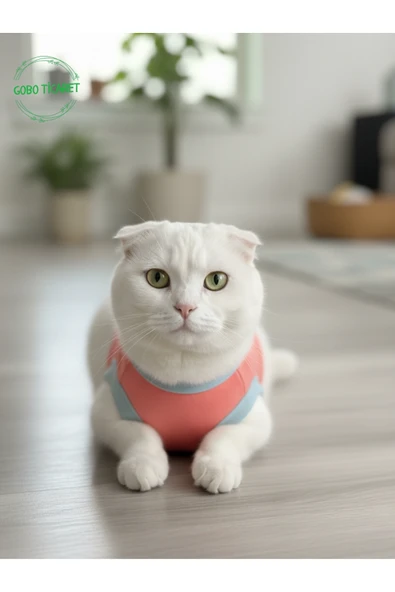 Gobo Şeker Pembe Renkli Kedi ve Köpek Kıyafeti Elbisesi Love Baskılı Medium/M/Beden 2 ürün görseli 1