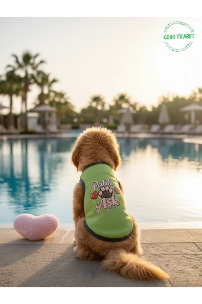Gobo Yeşil Renkli Patili Aşk Baskılı Kedi ve Köpek Kıyafeti Tişörtü Elbisesi Large/L/Beden 3 ürün görseli 1