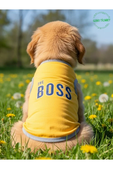 Gobo Sarı The Boss (Patron) Yazılı Kedi ve Köpek Kıyafeti Tişörtü Elbisesi SMALL/S/Beden 1 ürün görseli 1