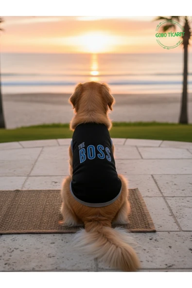 Gobo Siyah The Boss (Patron) Yazılı Kedi ve Köpek Kıyafeti Tişörtü Elbisesi Large/L/Beden 3 ürün görseli 1