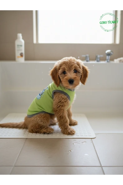 Gobo Yeşil Beni Yıka Baskılı Kedi ve Köpek Kıyafeti–Evcil Hayvan Tişörtü Elbisesi Medium/M/Beden 2 ürün görseli 1