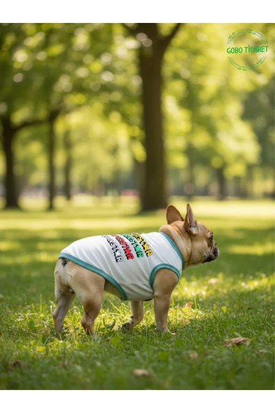 Gobo Beyaz SUPERSTAR Yazılı Kedi ve Köpek Kıyafeti Tişörtü Elbisesi Medium/M/Beden 2 ürün görseli 1