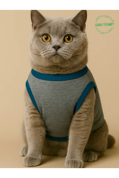 Gobo Sevimli Yeşil Ayıcık Aksesuarlı Gri Kedi Köpek Kıyafeti Elbisesi XXLarge/XXL/Beden 5 ürün görseli 1