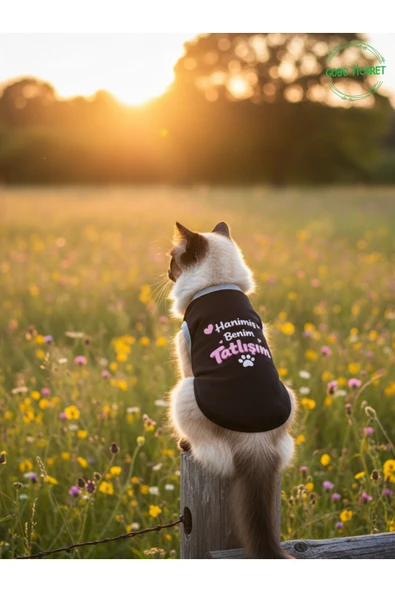 Gobo Siyah Hanimiş Benim Tatlışım Baskılı Kedi ve Köpek Kıyafeti Tişörtü Elbisesi SMALL/S/Beden 1 ürün görseli 1