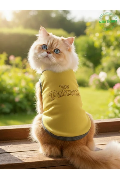 Gobo Sarı The Patron Yazılı Kedi ve Köpek Kıyafeti Tişörtü Elbisesi XSMALL/XS/Beden 0 ürün görseli 1