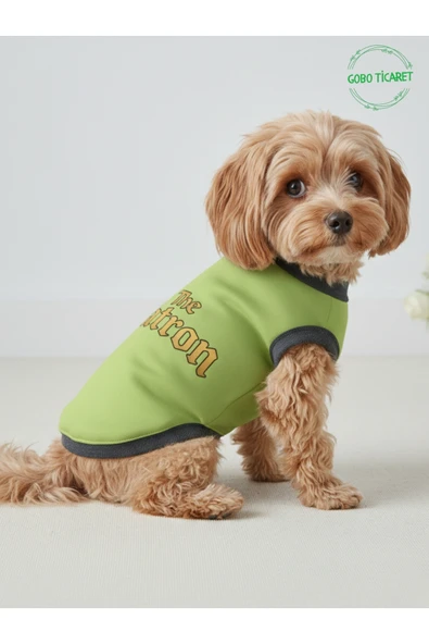Gobo Yeşil The Patron Yazılı Kedi ve Köpek Kıyafeti Tişörtü Elbisesi XSMALL/XS/Beden 0 ürün görseli 1
