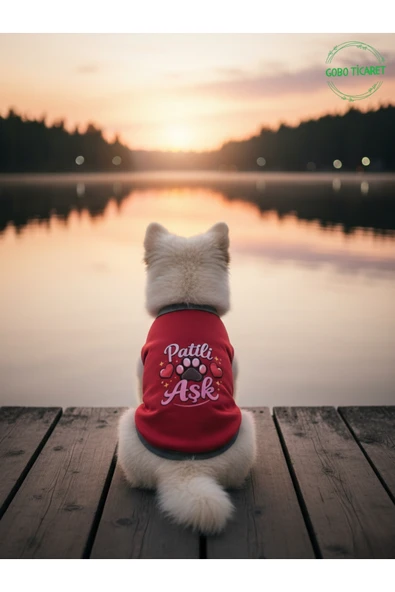 Gobo Kırmızı Renkli Patili Aşk Baskılı Kedi ve Köpek Kıyafeti Tişörtü Elbisesi Large/L/Beden 3 ürün görseli 1
