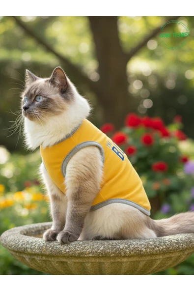 Gobo Sarı The Boss (Patron) Yazılı Kedi ve Köpek Kıyafeti Tişörtü Elbisesi Medium/M/Beden 2 ürün görseli 1