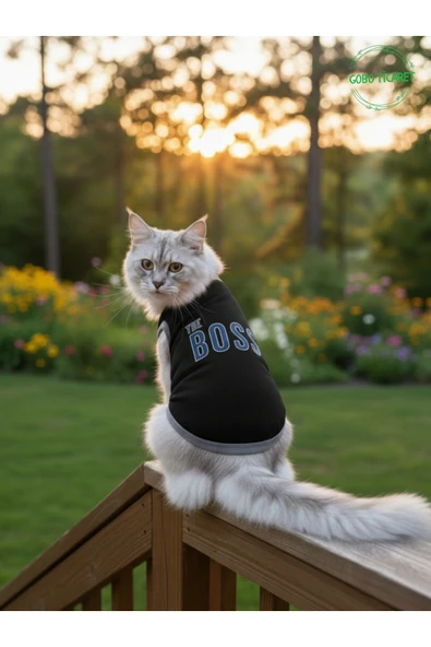 Gobo Siyah The Boss (Patron) Yazılı Kedi ve Köpek Kıyafeti Tişörtü Elbisesi XSMALL/XS/Beden 0 ürün görseli 1