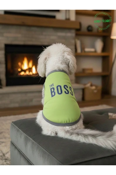 Gobo Yeşil The Boss (Patron) Yazılı Kedi ve Köpek Kıyafeti Tişörtü Elbisesi Medium/M/Beden 2 ürün görseli 1