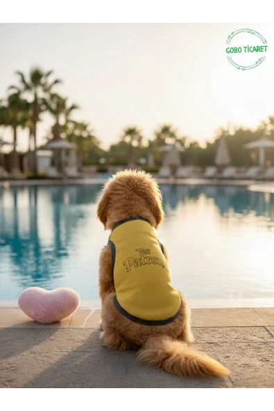 Gobo Sarı The Patron Yazılı Kedi ve Köpek Kıyafeti Tişörtü Elbisesi Medium/M/Beden 2 ürün görseli 1