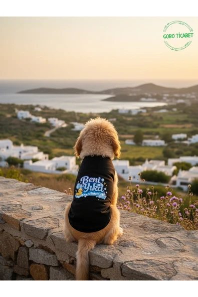 Gobo Siyah Beni Yıka Baskılı Kedi ve Köpek Kıyafeti–Evcil Hayvan Tişörtü Elbisesi Large/L/Beden 3 ürün görseli 1