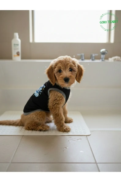 Gobo Siyah Beni Yıka Baskılı Kedi ve Köpek Kıyafeti–Evcil Hayvan Tişörtü Elbisesi SMALL/S/Beden 1 ürün görseli 1