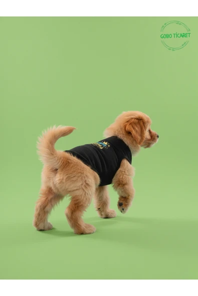 Gobo Siyah Yürüyen Karizma Yazılı Kedi ve Köpek Kıyafeti Tişörtü Elbisesi Medium/M/Beden 2 ürün görseli 1