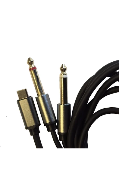 Type-C to 2x 6.35 mm Çivi Jak Ses Kablosu 1.5 Metre Telefon Bilgisayar Mikser Amfi Dönüştürücü Kablo ürün görseli 1