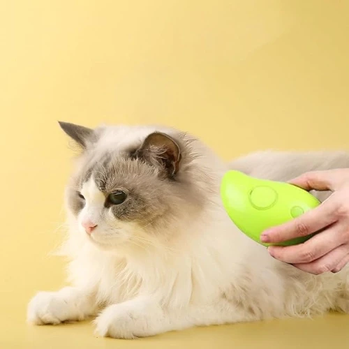 Buharlı Kedi Tarağı - Resim 2