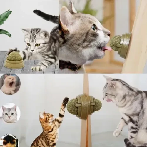 Kedi Nanesi Oyun Topu ürün görseli 1