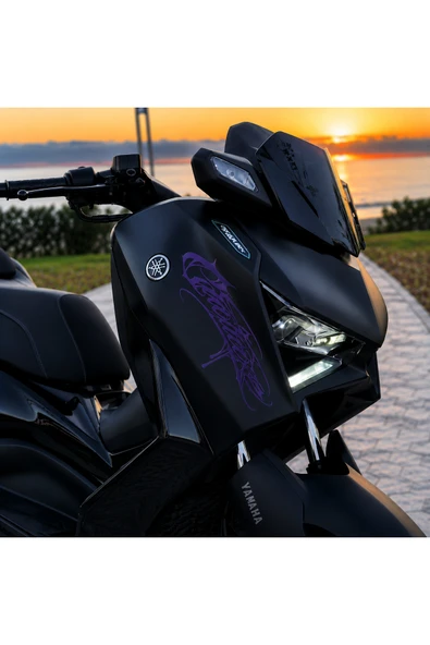 STCKRCO Motosiklet Sticker - Motosiklet Grenaj Stickerı - Motosiklet Gotik Sticker Mor ürün görseli 1