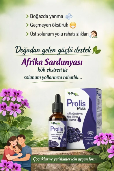 PROLİS PROLİS DAMLA 30 ML - Resim 2