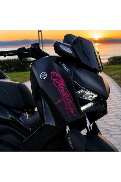 STCKRCO Motosiklet Sticker - Motosiklet Grenaj Stickerı - Motosiklet Gotik Sticker Pembe ürün görseli 1