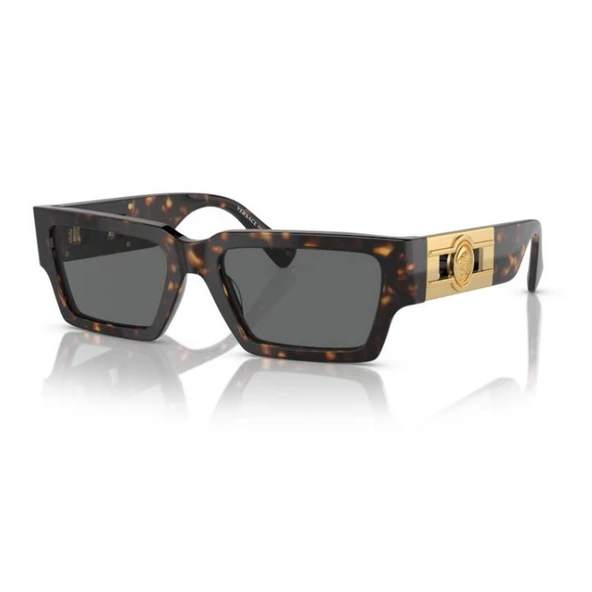 Versace 0VE4459 108/8754 Asetat Erkek Güneş Gözlüğü ürün görseli 1