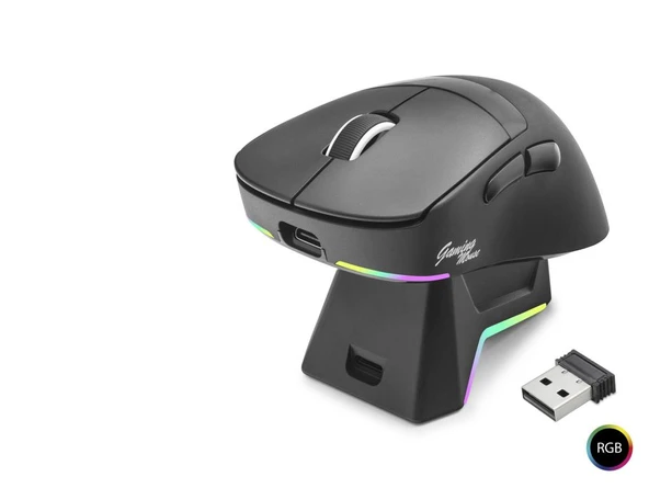 Kablosuz Rgb Mouse Şarj Standlı - Siyah MF1216B ürün görseli 1