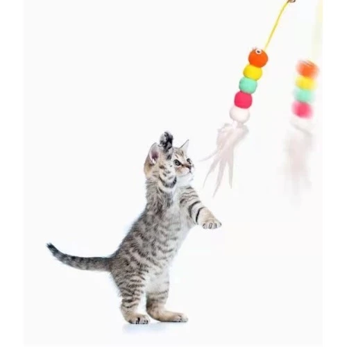 Elastik Yapışkanlı Kedi Oyun Oltası - Resim 5