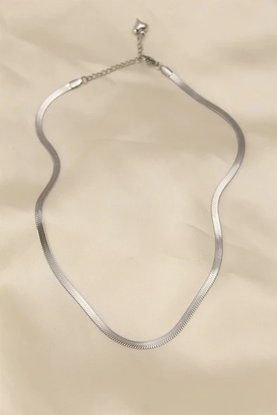 316L Çelik Silver Renk 45 cm İtalyan Zincir Model Kadın Kolye ürün görseli 1