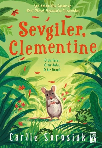 Sevgiler Clementine ürün görseli 1