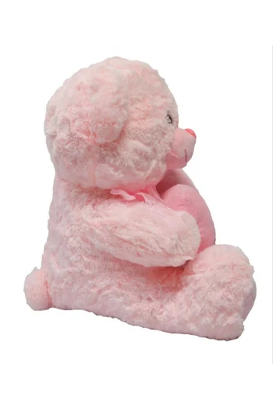 Sevimli Kalpli Peluş Ayı 30 cm - Resim 3