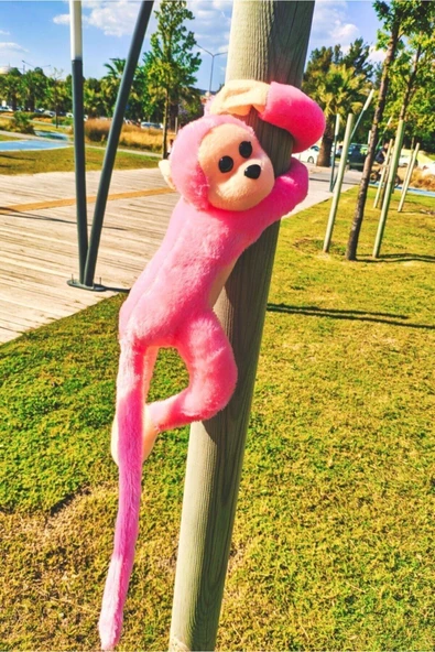 Sevimli Sarılan Sesli Maymun Pembe - Resim 2