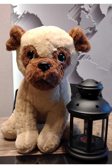 Sadık Cam Göz Peluş Köpek 38cm ürün görseli 1