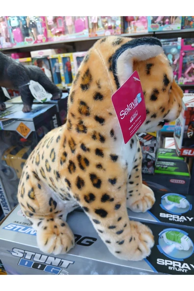 Leopar oturan - Resim 3