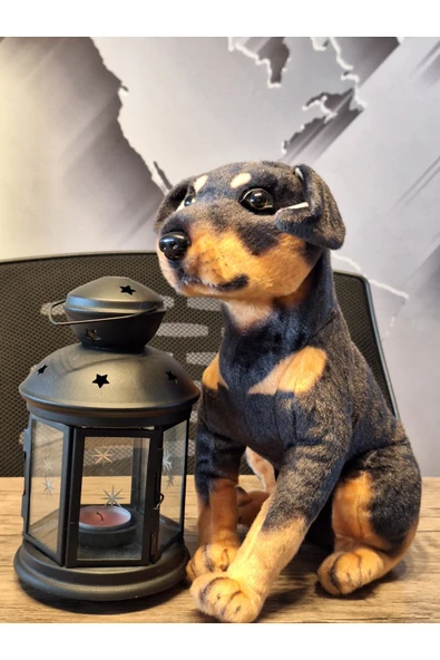 SEVİMLİ DOBERMAN KÖPEĞİ 35cM ürün görseli 1