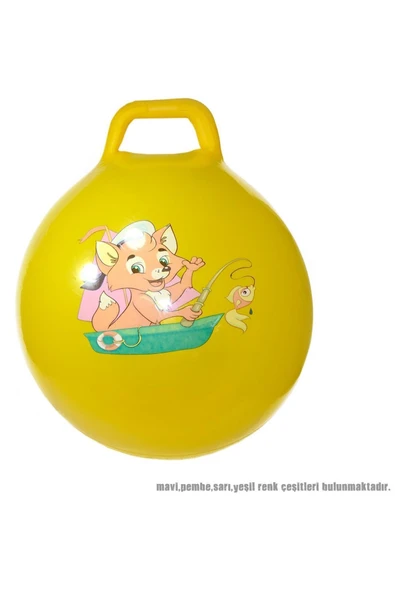 Cn-628a 55 Cm Zıplama Topu ürün görseli 1