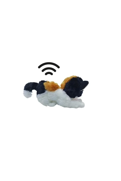Sevimli Peluş Miyavlıyan Kedi - Resim 2