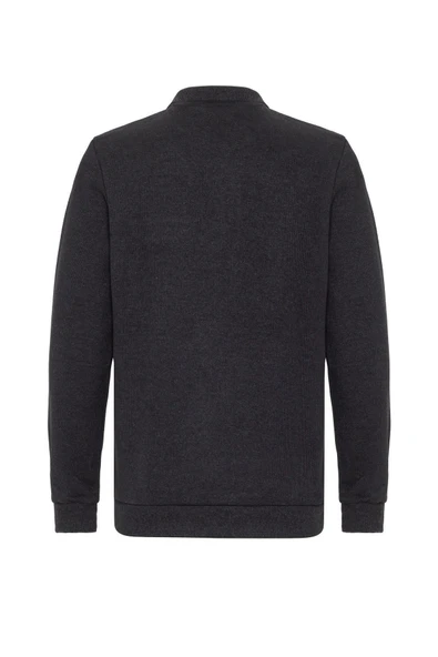 Polo Yaka Regular Kalıp Desenli Triko - Resim 4