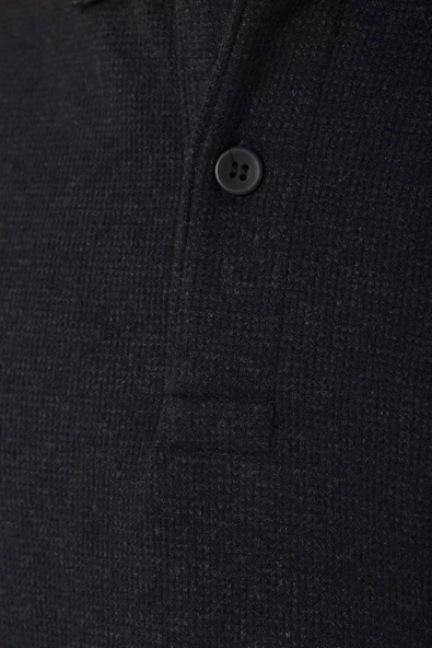 Polo Yaka Regular Kalıp Desenli Triko - Resim 3