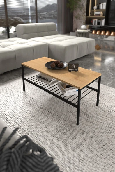 miyuhome 2 Raflı Metal Orta Sehpa Dekoratif Sehpa Lüx Metal Raflı Sehpa İki Katlı Salon Sehpa ürün görseli 1