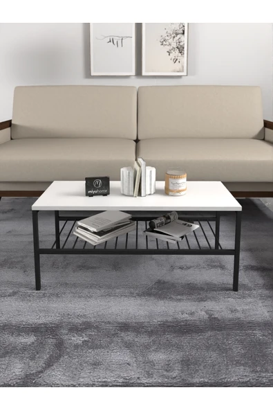 miyuhome 2 Raflı Metal Orta Sehpa Dekoratif Sehpa Lüx Metal Raflı Sehpa İki Katlı Salon Sehpa ürün görseli 1