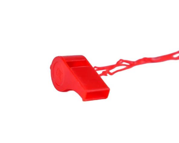KOIGO PLASTIK RENKLI DUDUK - Resim 3