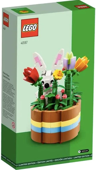 LEGO 40587 Iconic Paskalya Sepeti - Resim 2