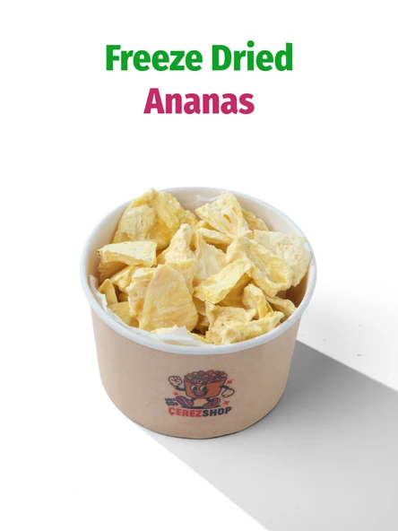 Freeze Dried Ananas Dondurularak Kurutulmuş Meyve Cipsi ürün görseli 1