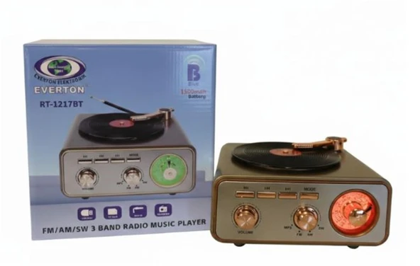 Everton Rt-1217Bt  Bluetooth Usb-Micro Plak Radyo ürün görseli 1